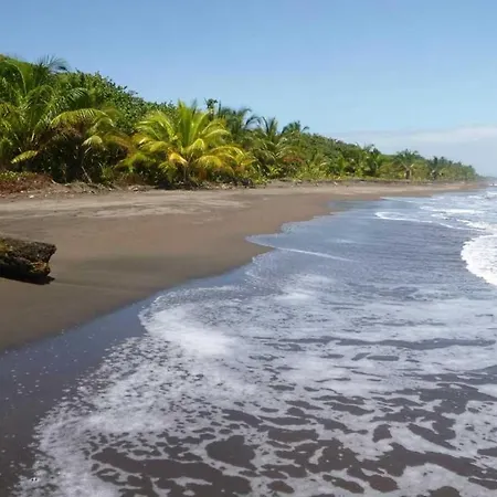 The Secret Eco Lodge Tortuguero Exterior photo
