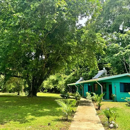 The Secret Eco Lodge Tortuguero Exterior photo