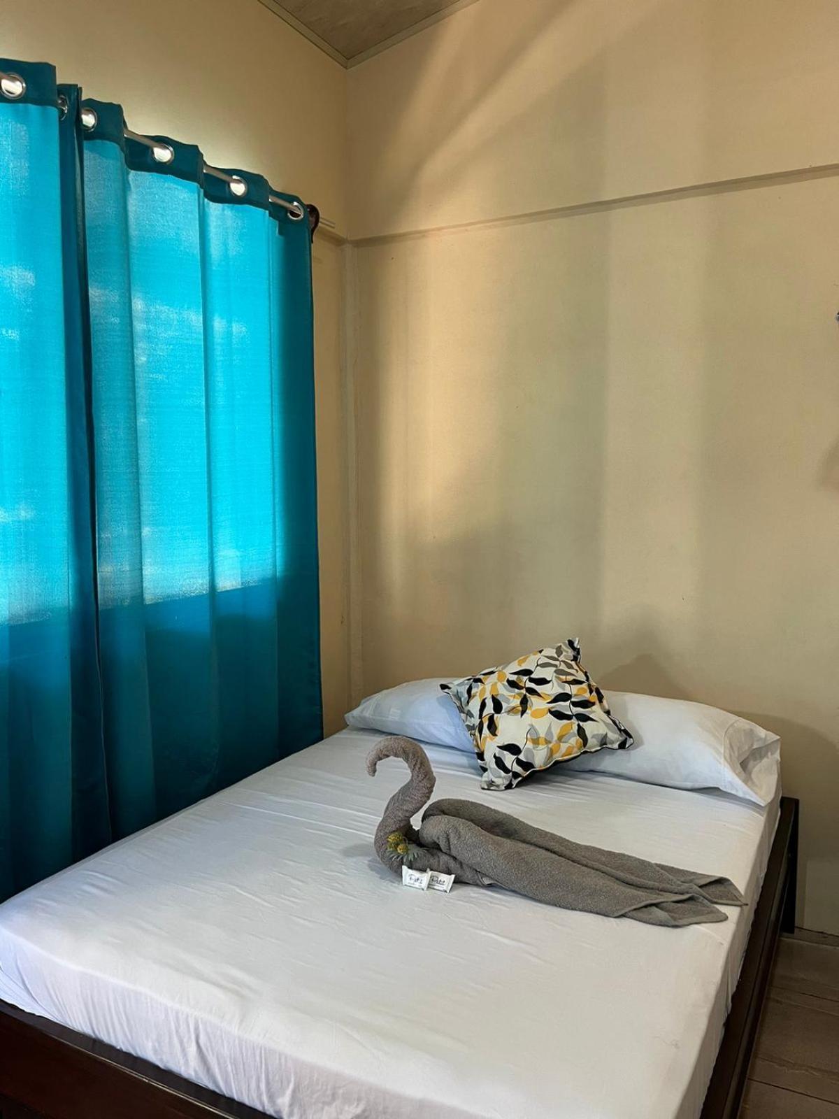 The Secret Eco Apartment Tortuguero
