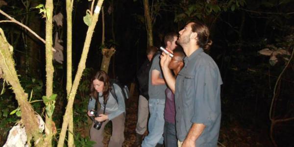 The Secret Eco Tortuguero
