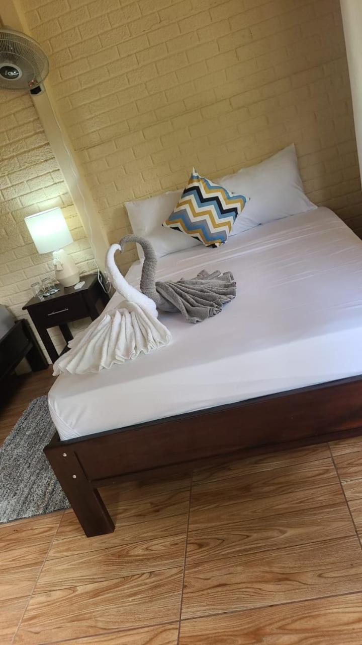 The Secret Eco Apartment Tortuguero