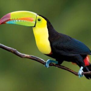 Apartment The Secret Eco Tortuguero